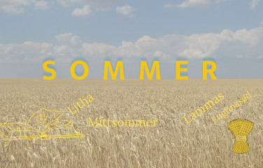 Sommer – Zeit des Lichtes